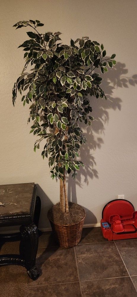 Fake Plant