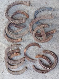 Vintage Horseshoes