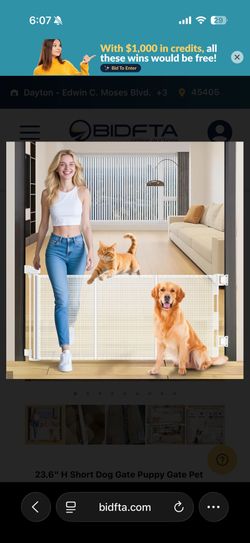 Puppy Gate