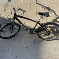 Schwinn Beach Cruiser