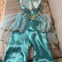 Jasmine Costume
