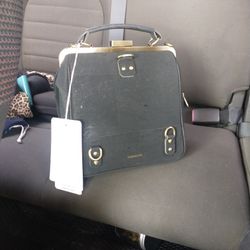 Bebebark Laflore Paris Purse/Backpack
