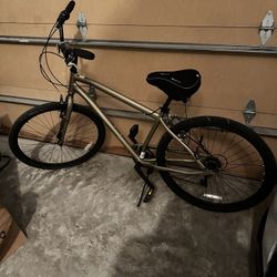 Men’s Cruiser Bike