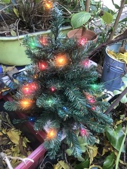 Hermosos Arbolistas Navideños Con Luces 