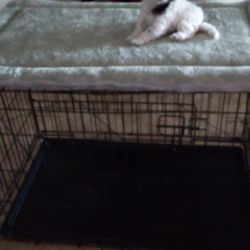Cage for pup
