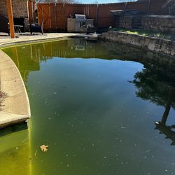 One Time Cleaning Pool Green Drain  Free Estimación 