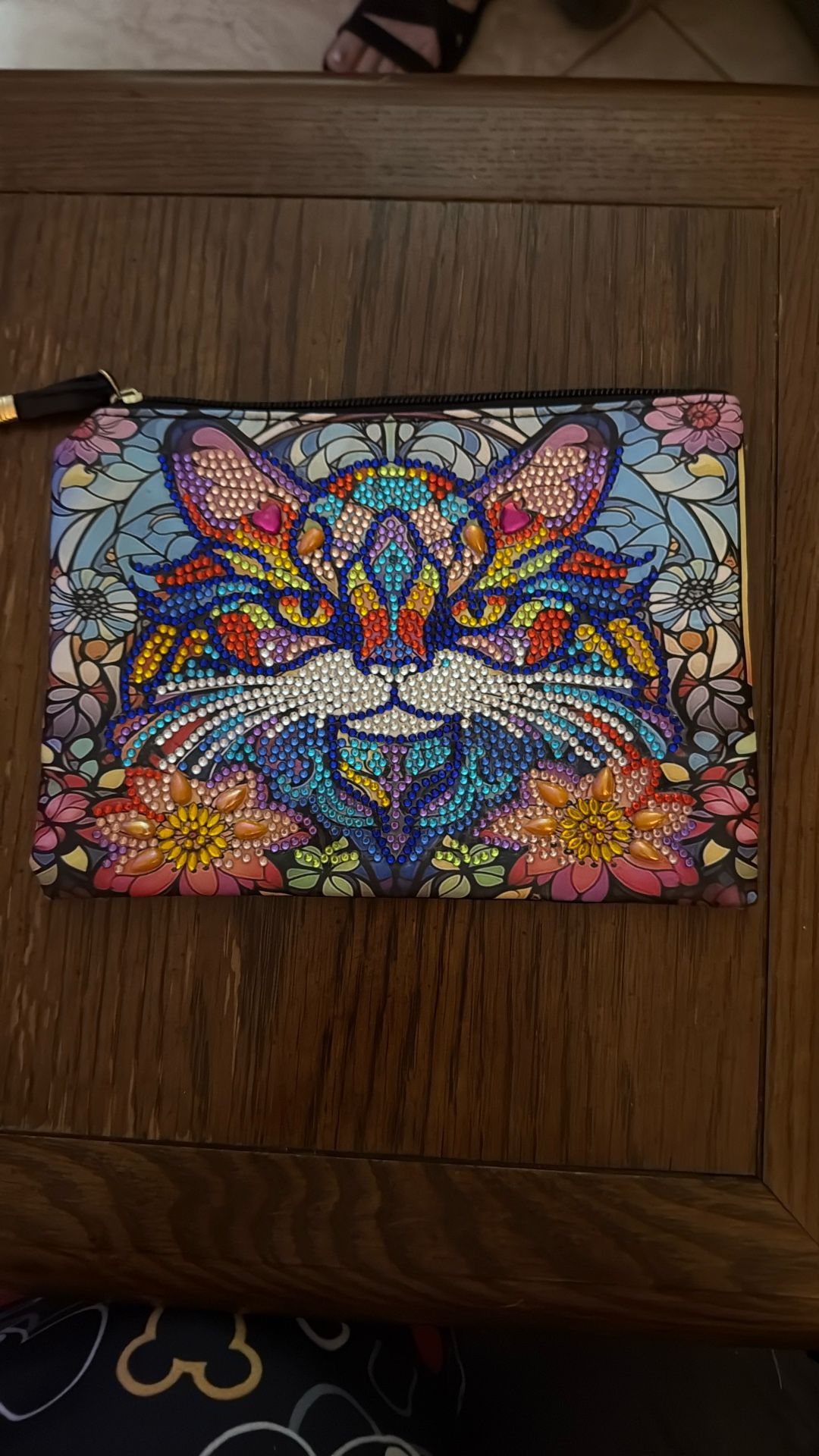 CAT BAG - New! Clutch-style $10