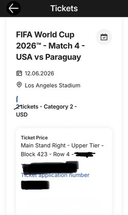 World Cup USA vs Paraguay- 1 Single ticket