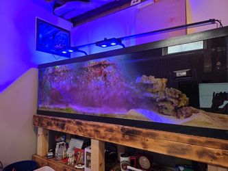 125 Gallon Salt Water Tank