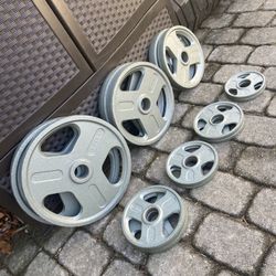 Olympic Weight Plates For Your Home Gym