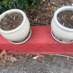 Clay Ceramic Plants Pots 