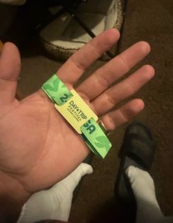 Day Trip Daytrip Festival GA ticket wristband