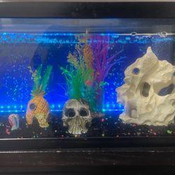 20 Gallon Fish Tank Everything Included Minus Fish 