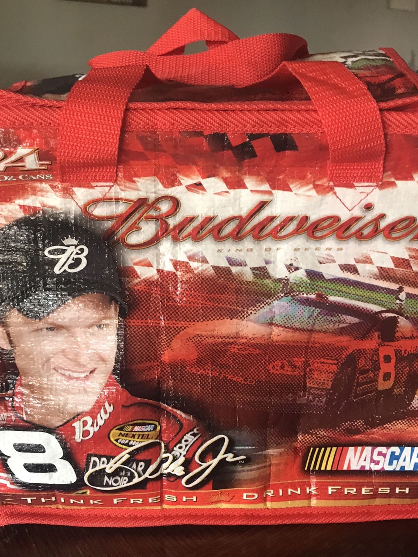 Dale Jr Insulated Cooler Bag