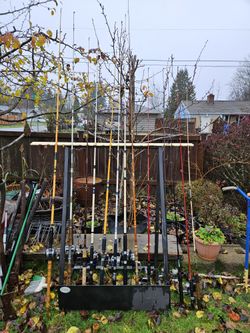 Fishing rod and Reel. 12 sets. $120