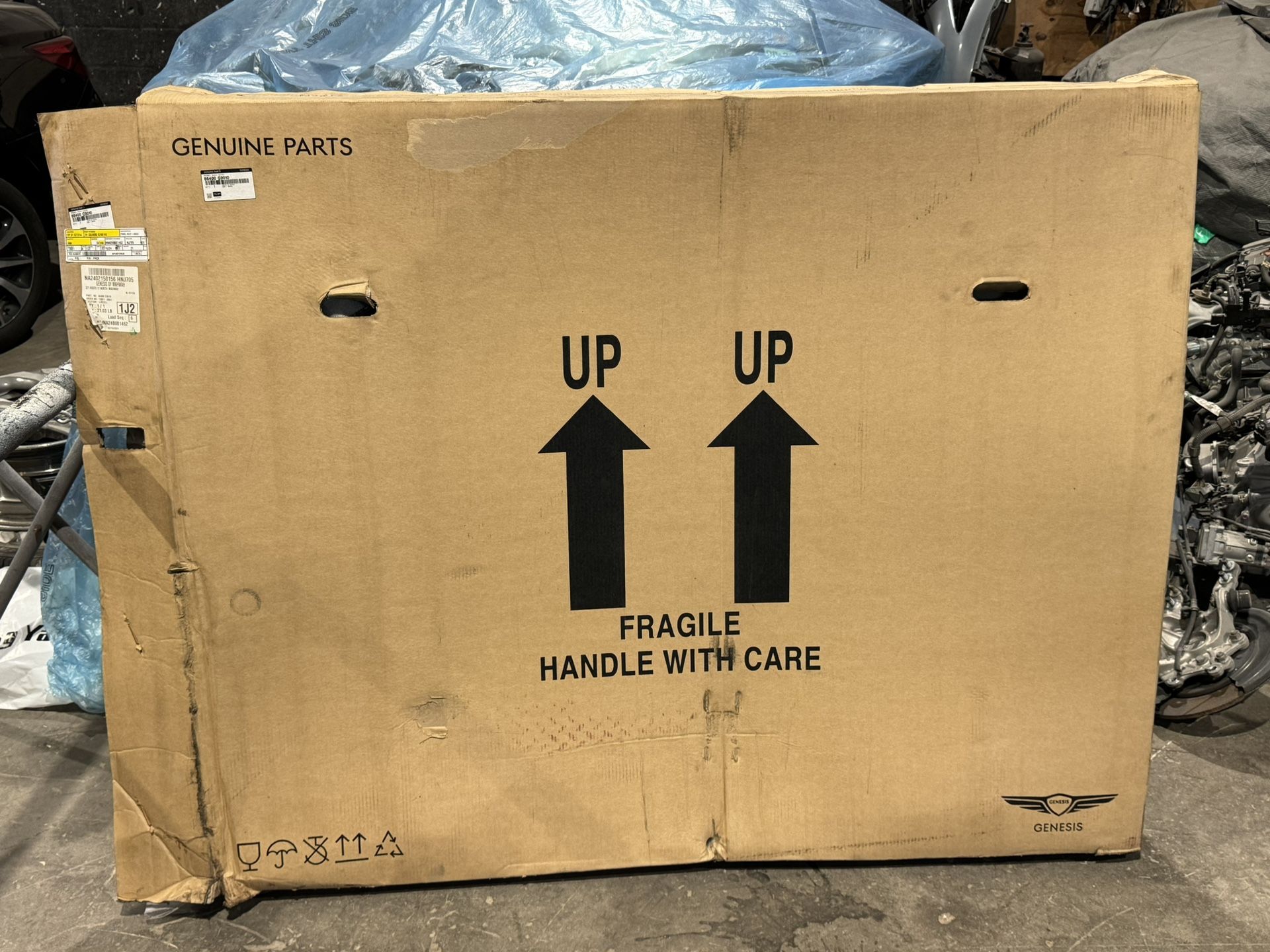 Hood For Genesis G70