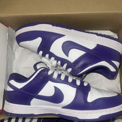 Nike Court Purple Dunk SIZE 10