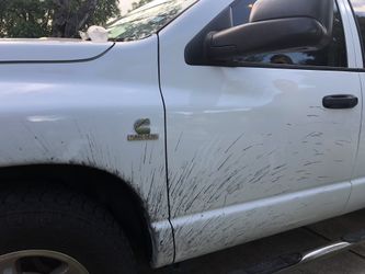 Buff! Wax! Paint correction!