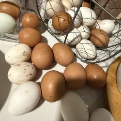 Fresh Organic Eggs