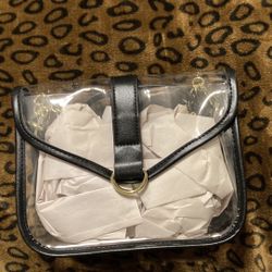 Party Clear purse bag 