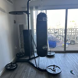 Pro Punching Bag, Stand, Weights. 