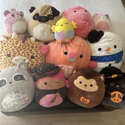 Squishmallows lot