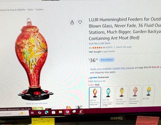 LUJII Blown Glass Hummingbird Feeder – Red