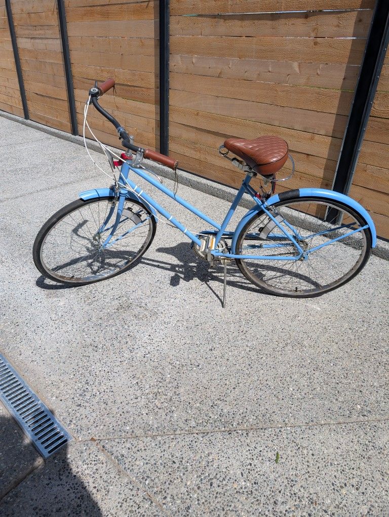 Blue Bike