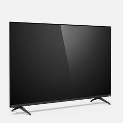 55" In Vizio Smart TV  with Firestick