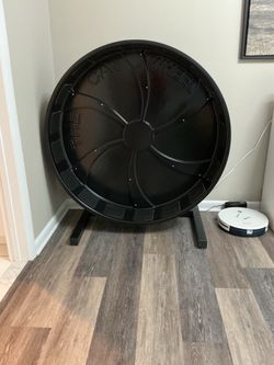 Cat exercise wheel