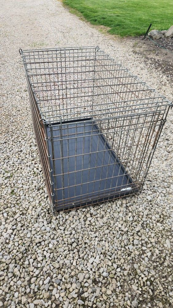 Dog Cage
