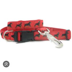 Rottie Leash
