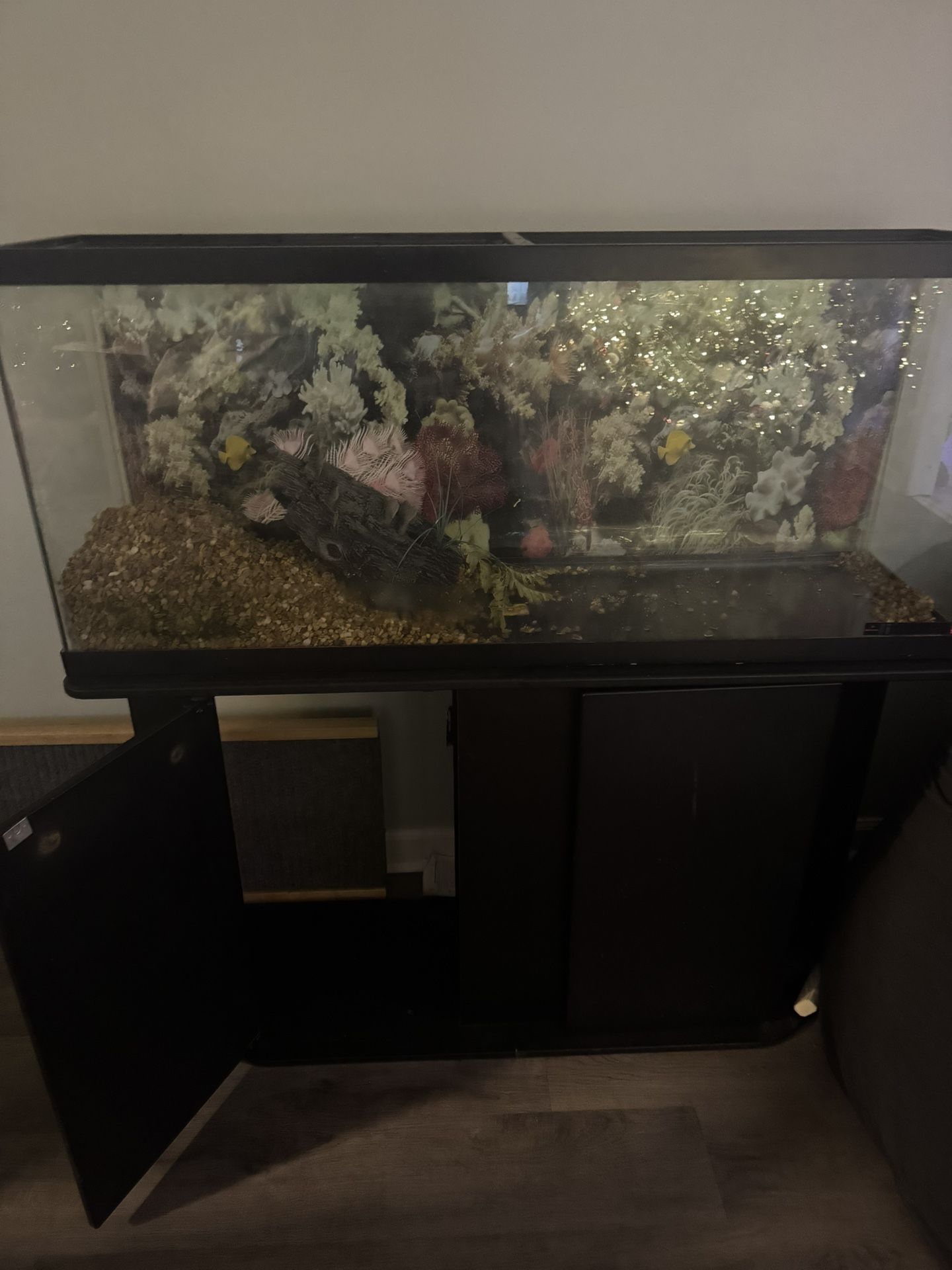 55 Gal Fish Tank