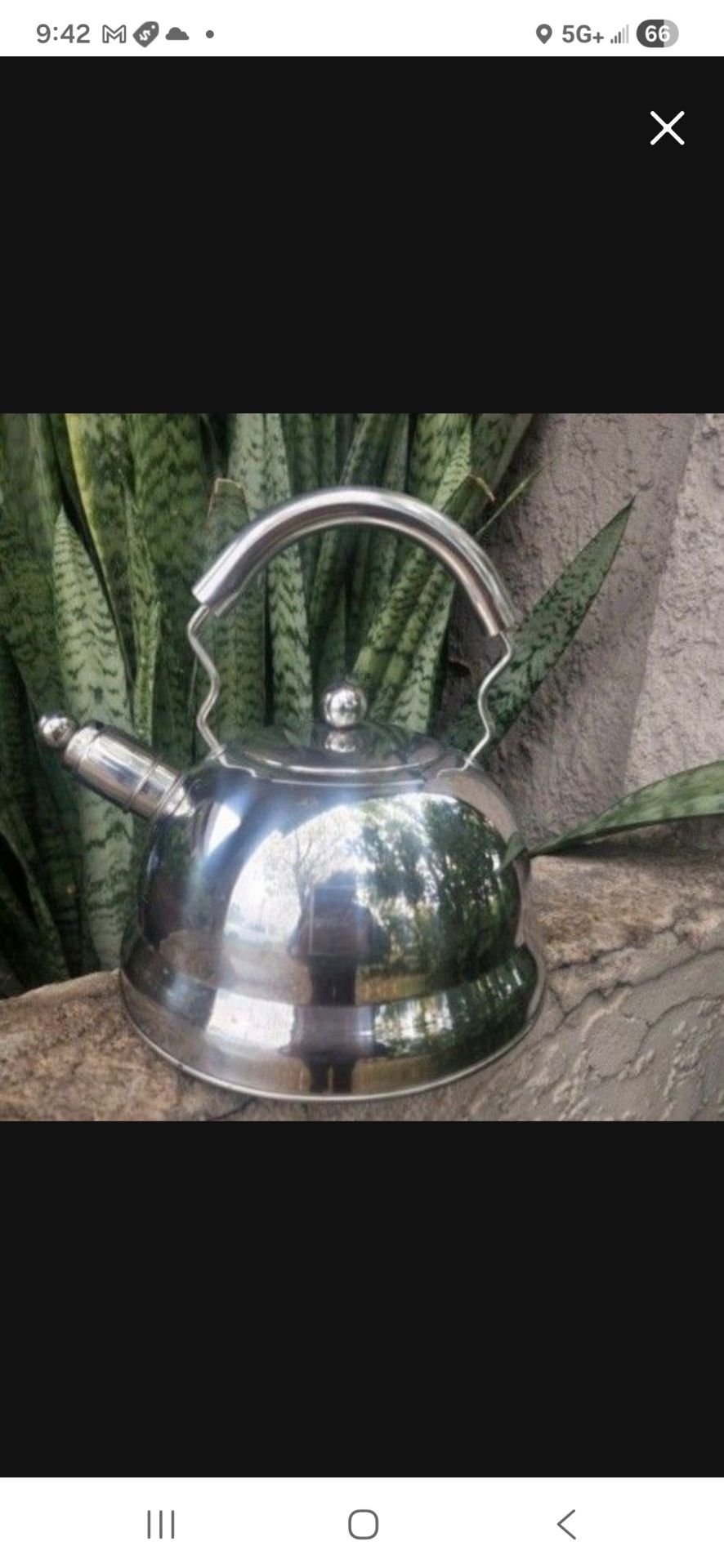Tea Kettle, "Gnali & Zani"