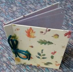 Photo/Scrapbook Album