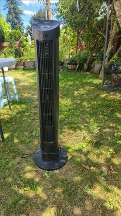 Fan