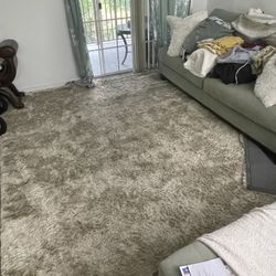 Plush Area Rug Soft 