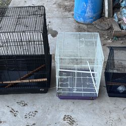 Bird Cages 