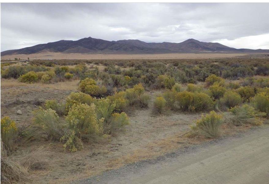 Cheap Acreage for Sale. 40 Acres in Nevada for $13,450