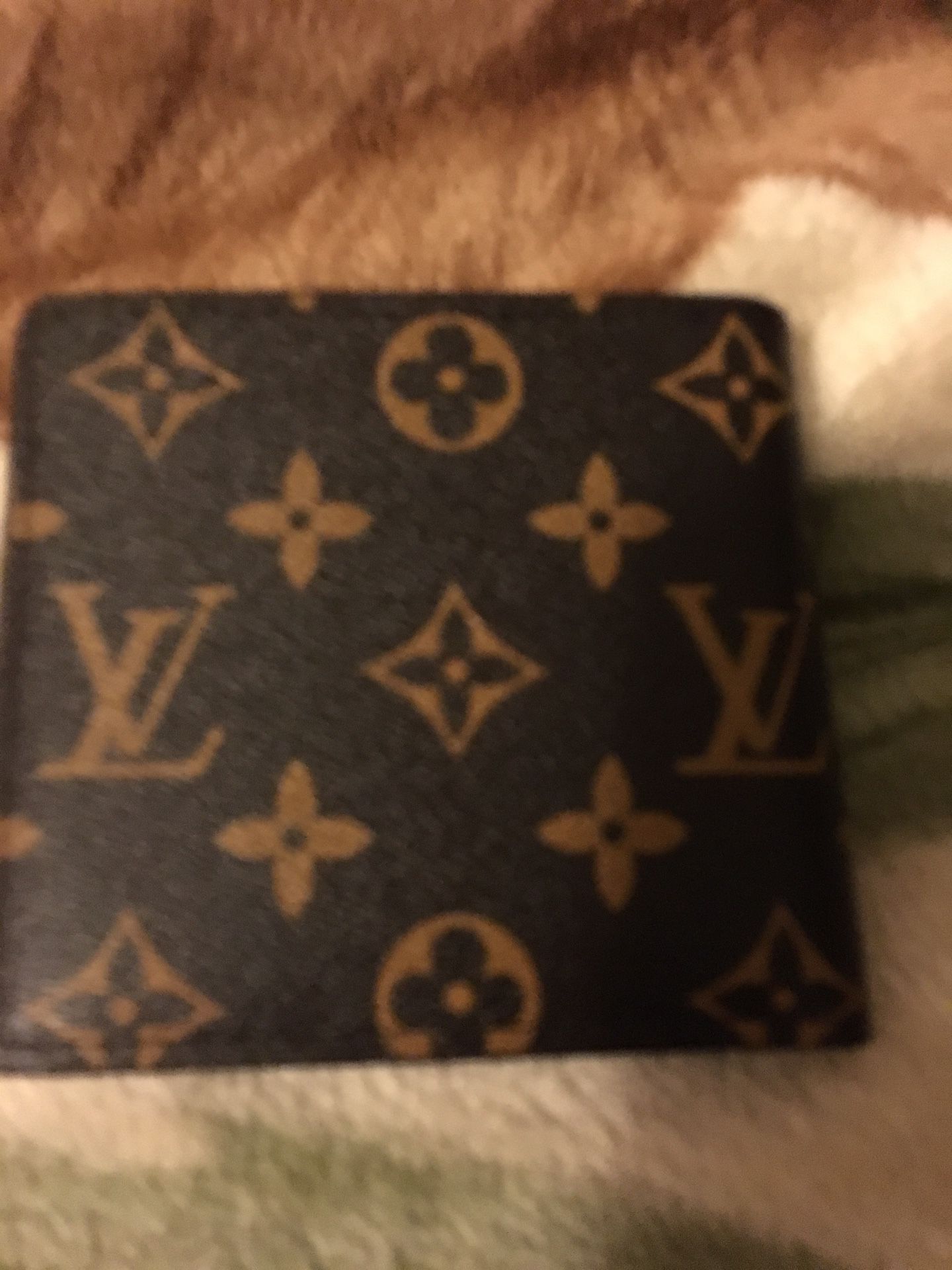 Louis Vuitton (LV) wallet