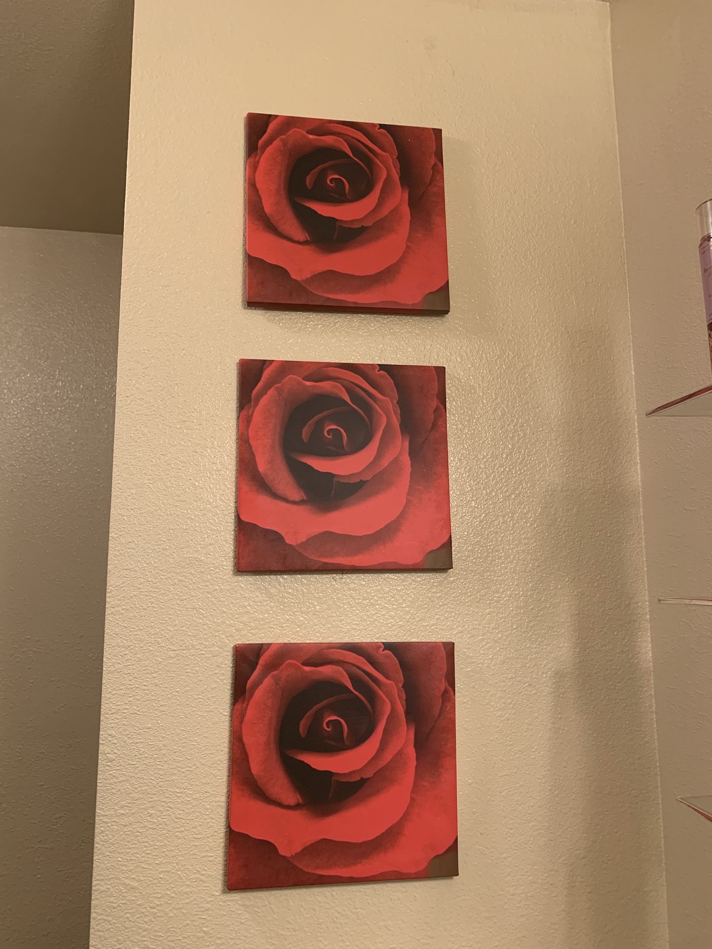Rose Art