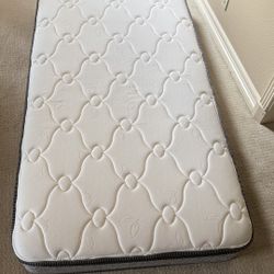 2 Twin Mattresses - $20 OBO