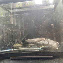 Medium-large Aquarium with Supplies