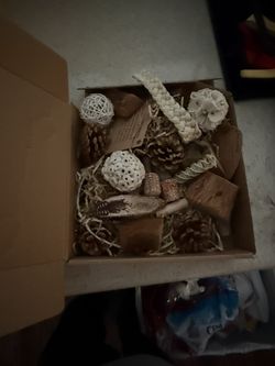 Open Box Bird Chewing Toy