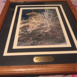 2 Bev Doolittle “Prayer for The Wild Things”