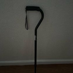 Equate Walking Stick