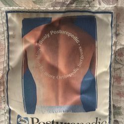 FREE Twin Size Sealy Posturepedic top mattress