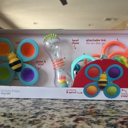 Sassy Sensory Fidget Toy Set