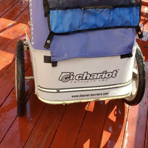 Baby Or Dog Carrier - By Chariot Carriers Inc