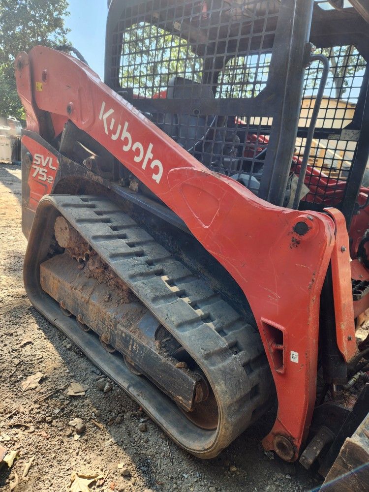 Bobcat